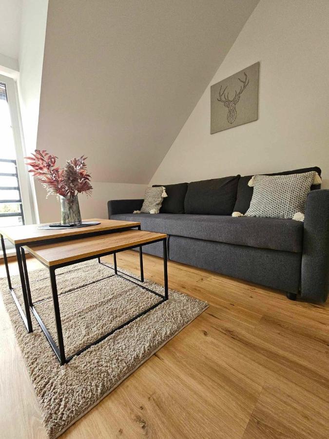Horsky Apartman Miki Filipovice Kültér fotó