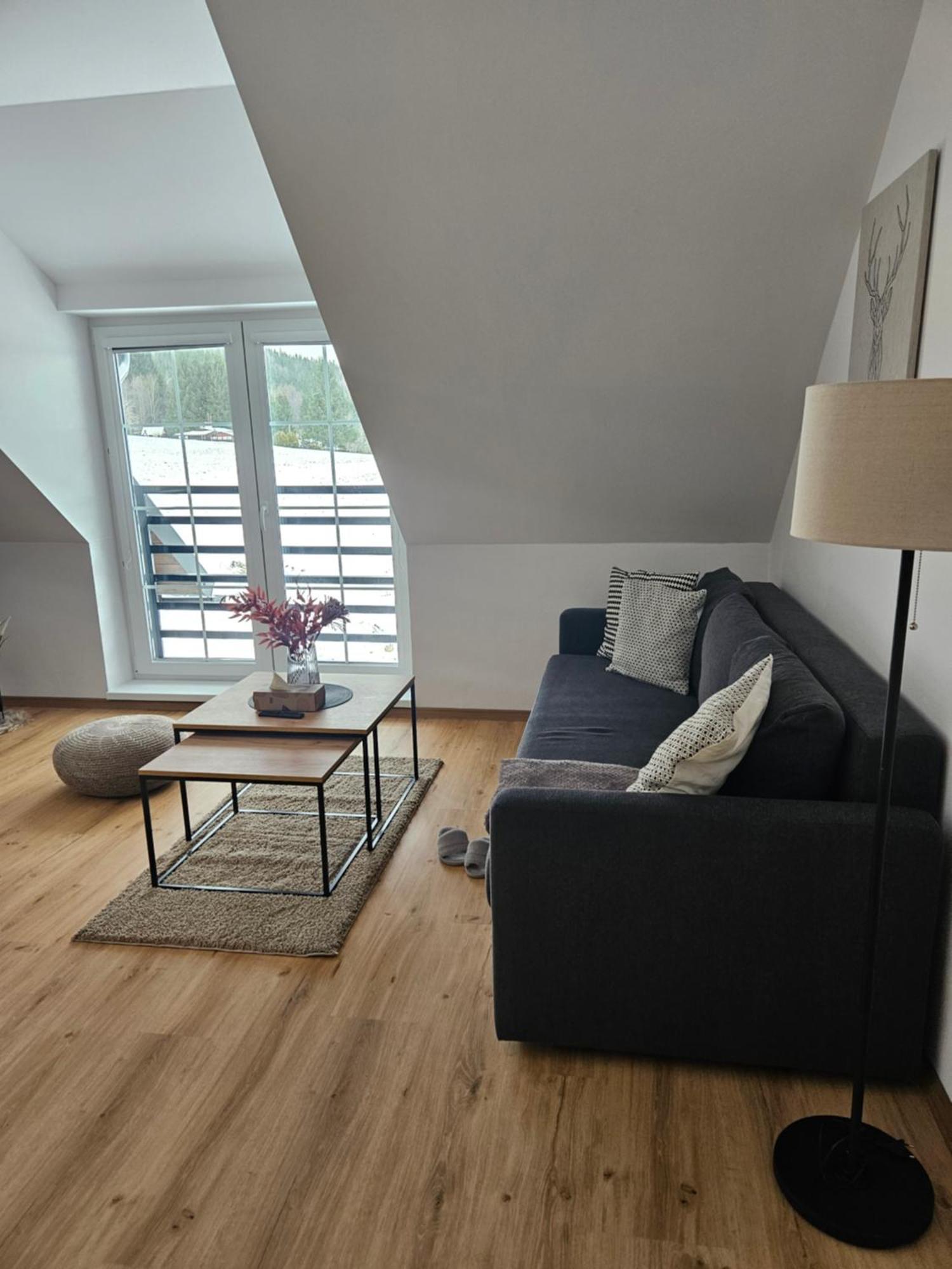 Horsky Apartman Miki Filipovice Kültér fotó