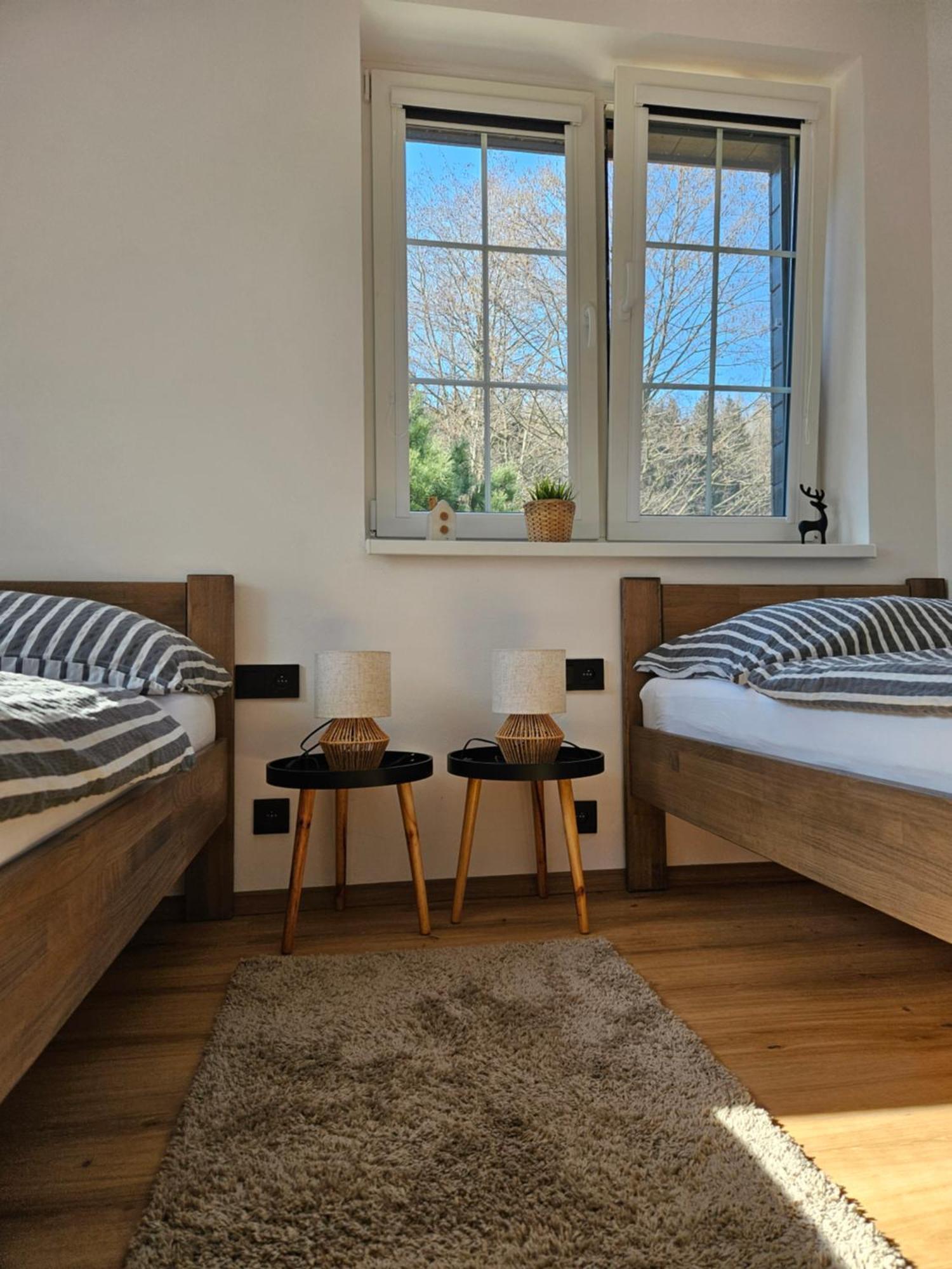 Horsky Apartman Miki Filipovice Kültér fotó